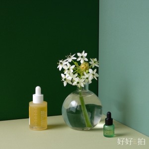 曦綠｜拍照背景板