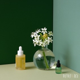 曦綠｜拍照背景板