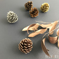 乾燥松果（共7款）_7