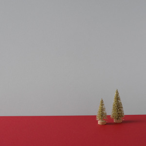 [已絕版] 小灰｜拍照背景板