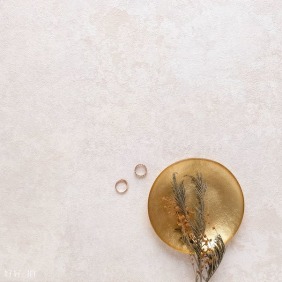 溫暖的思緒漫延｜拍照背景板