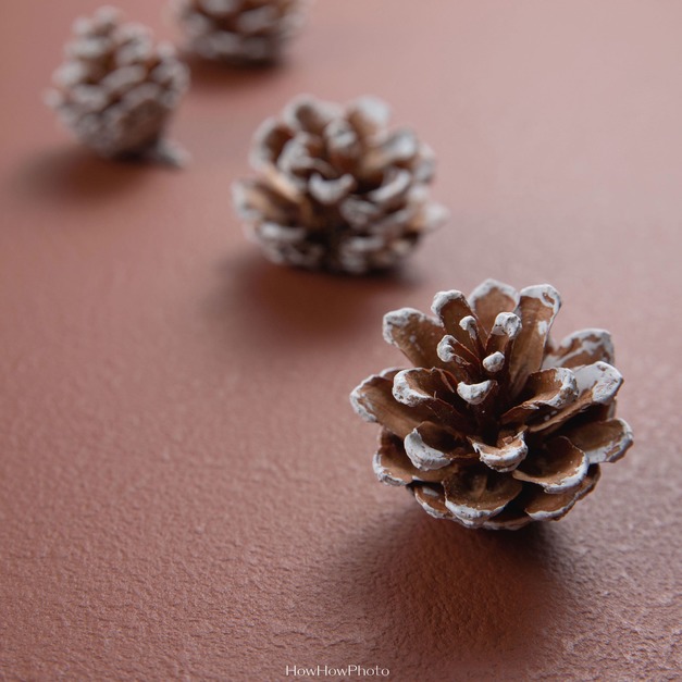 乾燥松果（共7款）