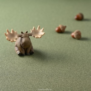 [大尺寸預購] 溫穩-綠｜拍照背景紙