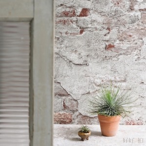 [已絕版] 流浪者之歌｜拍照背景板