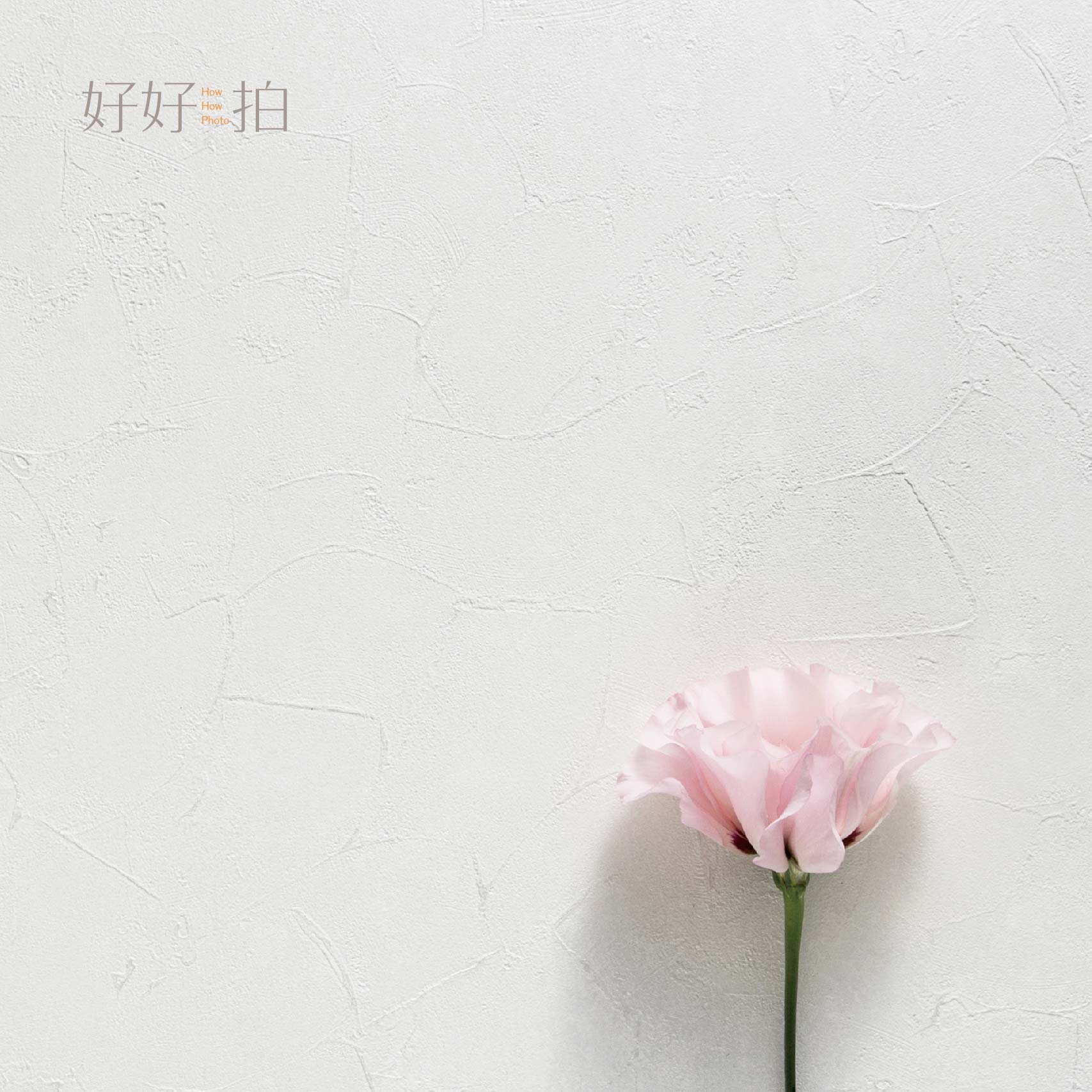 留白的哲學｜拍照背景板