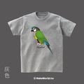 MakeWorld.tw 短T (小太陽鸚鵡/彩繪)_8