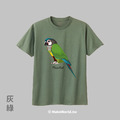 MakeWorld.tw 短T (小太陽鸚鵡/彩繪)_26