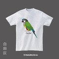 MakeWorld.tw 短T (小太陽鸚鵡/彩繪)_7