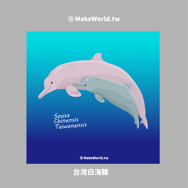 Make World 小方巾 (生態-台灣白海豚)