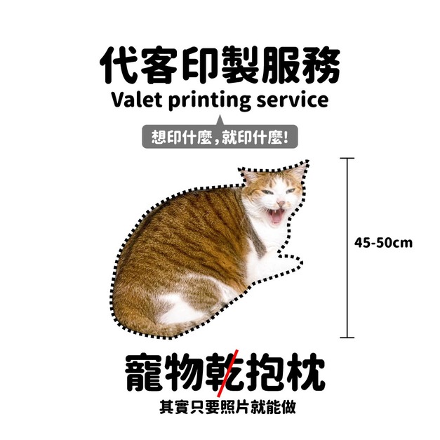 Make World 寵物抱枕 (代客印製)
