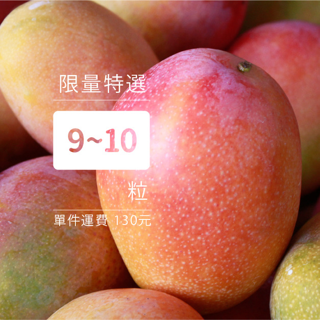 愛文芒果[限量9-10粒裝]