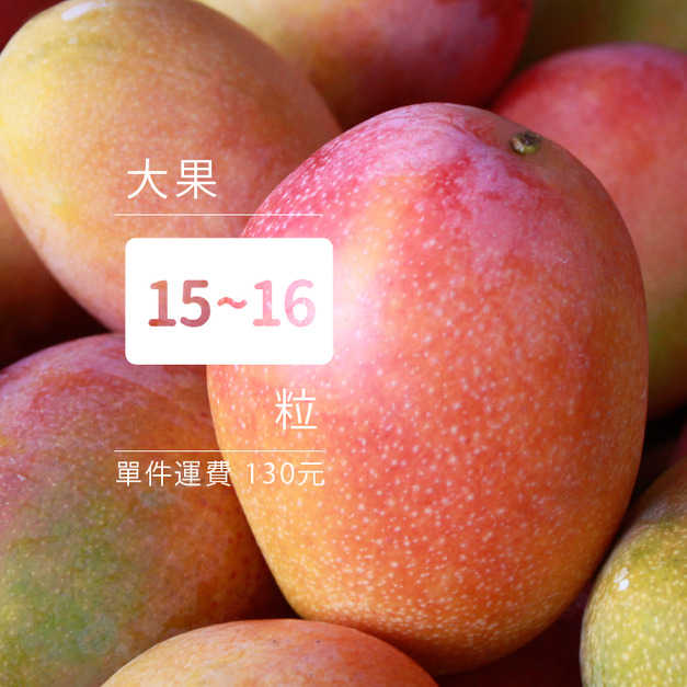 愛文芒果[大果15-16粒裝]
