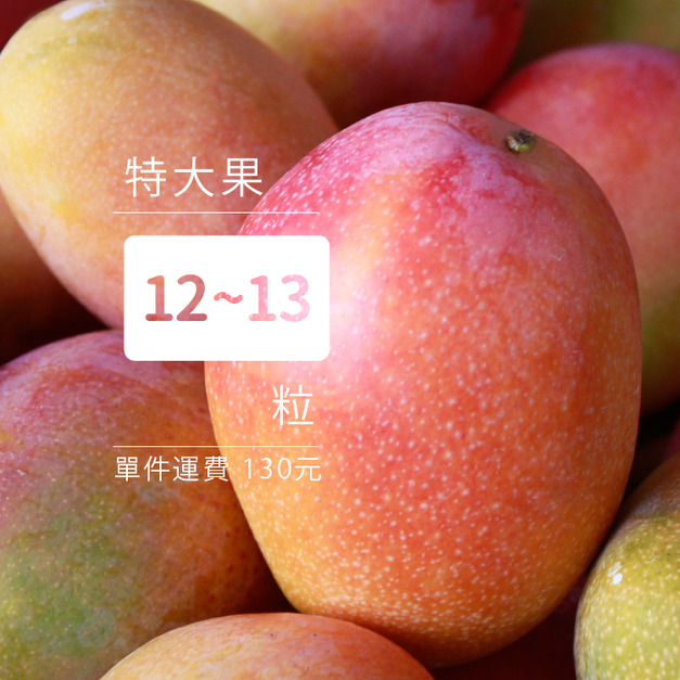 愛文芒果[特大12-13粒裝]