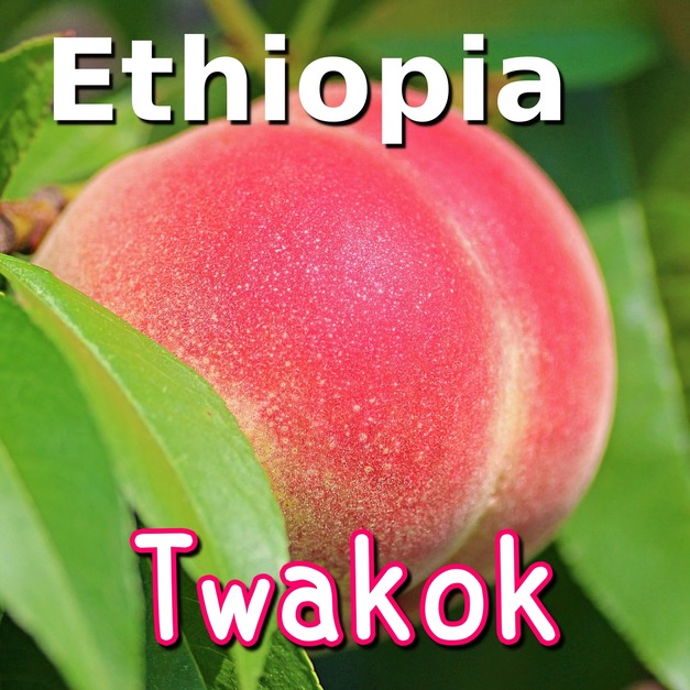 衣索比亞 - 西達摩 桃可可/桃子甜心 (日曬)