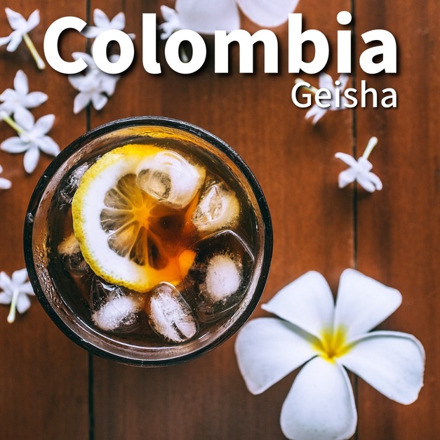 【Premium】哥倫比亞 - 娜玲瓏省 花境處理站 藝妓 (水洗) 