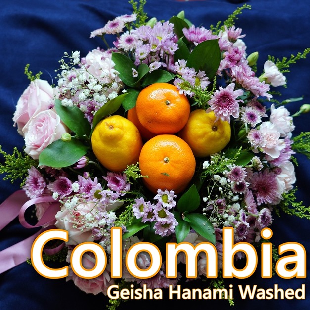 【Premium】哥倫比亞 -希望莊園 花見藝妓 (水洗)