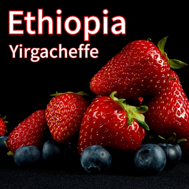 衣索比亞-耶加雪菲 神燈 香妃  (日曬)