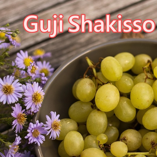 衣索比亞-古吉 夏奇索 罕加笛 G1 (日曬)