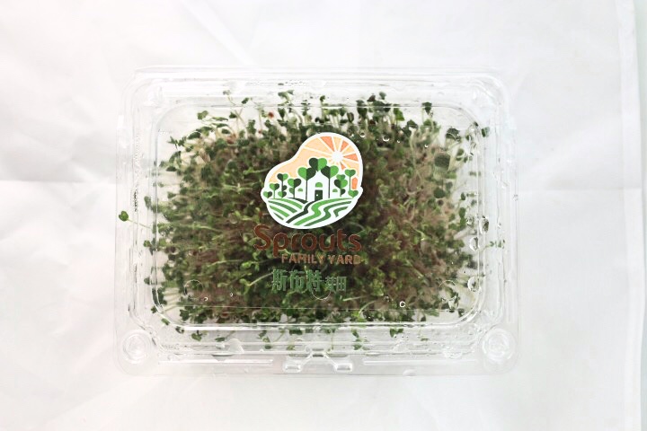 青花椰苗 - 100g