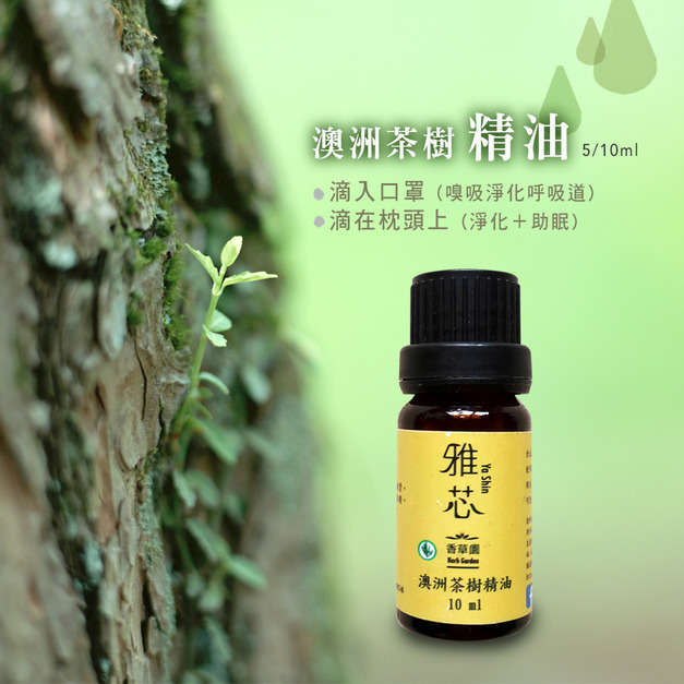 優惠-純澳洲茶樹精油 10ml X 5 送純澳洲茶樹純露 250ml X 1 原優惠價$4200