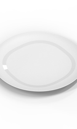 天然玉米生質材料-大圓盤 (255mm)