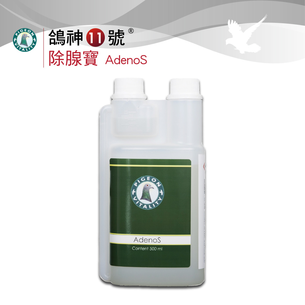 鴿神十一號 除腺寶adenos 欣麥德氏 關心鴿子大小事