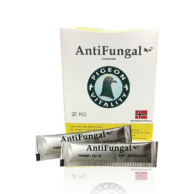 鴿神二號 抗菌寶antifungal 欣麥德氏 關心鴿子大小事