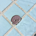 Lonely Wave 粉色貝殼寂寞別針 Lonely seashell enamel pin PINK_2