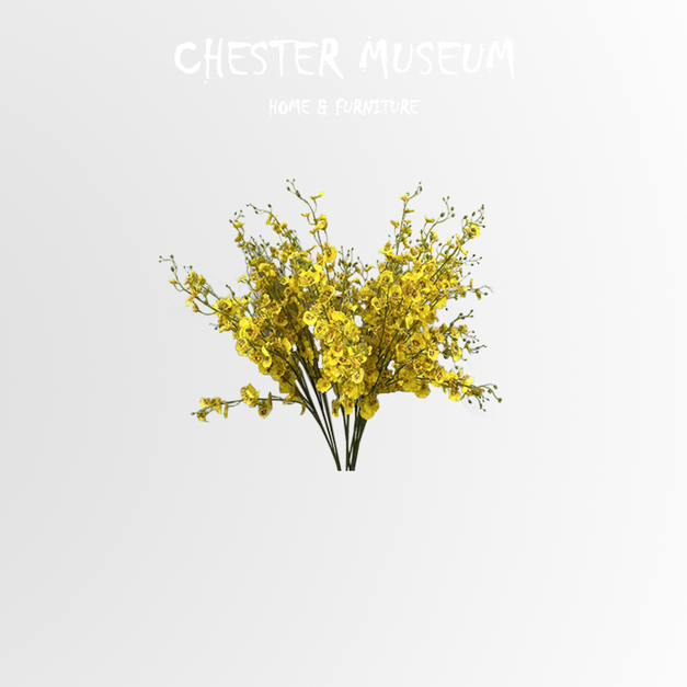 B款1支 NT100 +NT35