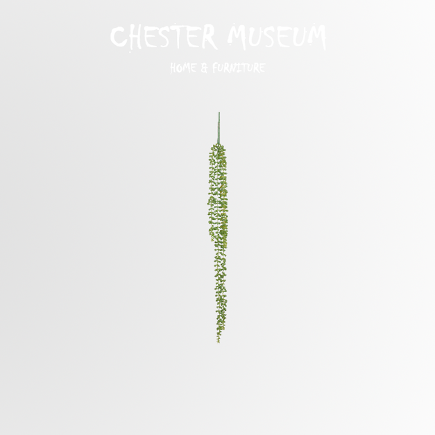 綠色情人淚 NT260 +NT95