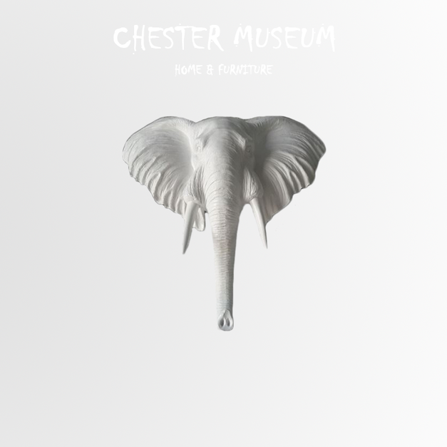 D款 NT5,970 +NT3,000