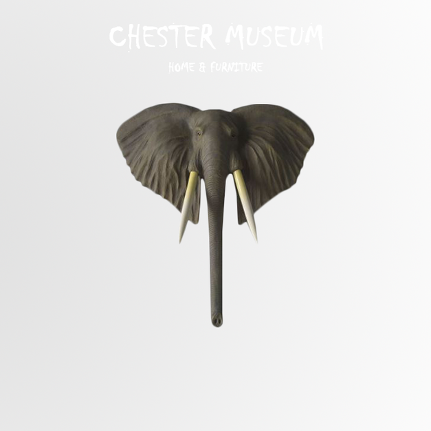 A款 NT13,970 +NT11,000