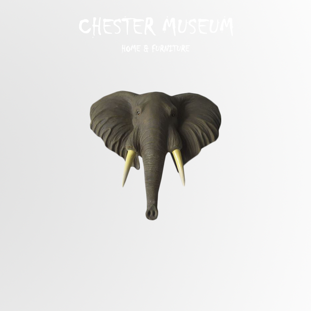 B款 NT5,370 +NT2,400