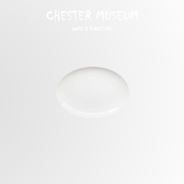 骨瓷橢圓盤魚盤