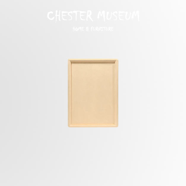 高級絨布置物托盤