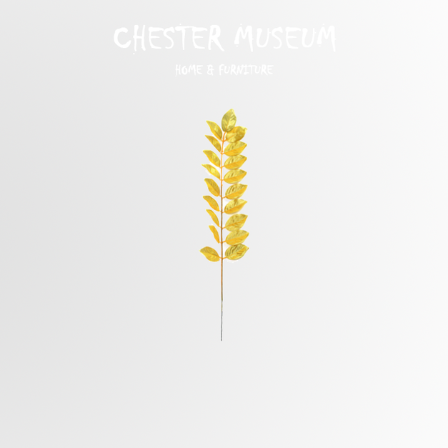 金錢葉 NT50 +NT20