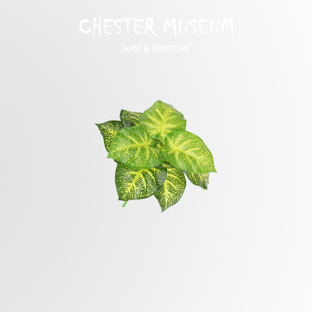 黃色海芋葉 NT180 +NT15