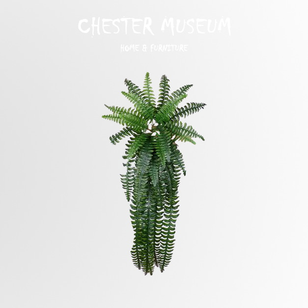 特大波斯 NT480 +NT315