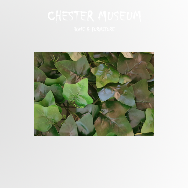 過膠爬山虎 NT370 +NT80