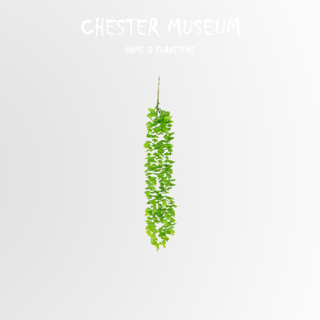 尤加利壁掛 NT220 +NT55