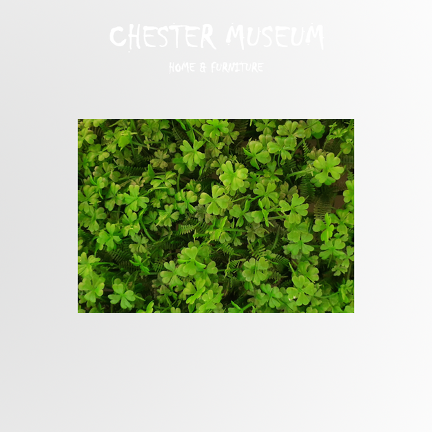 幸運草 NT380 +NT90