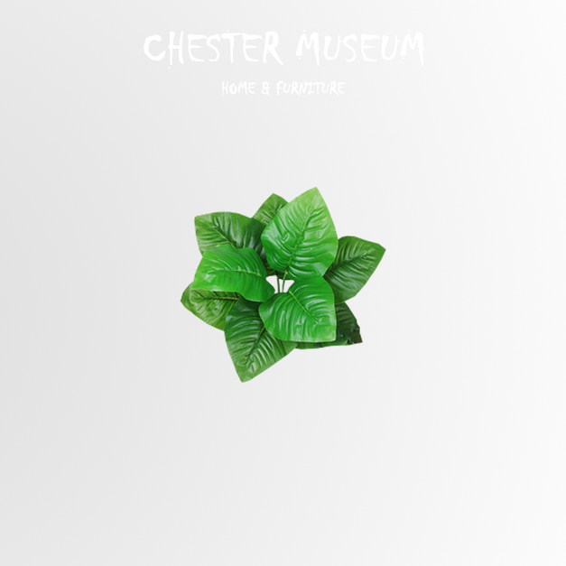 綠色圓夢葉 NT205 +NT40