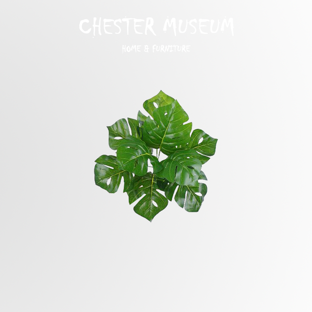 大龜背葉 NT205 +NT40