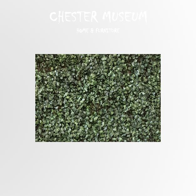 超密米蘭草 NT290