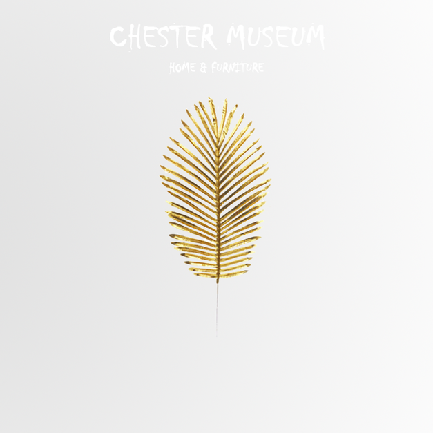 金散尾 NT50 +NT20