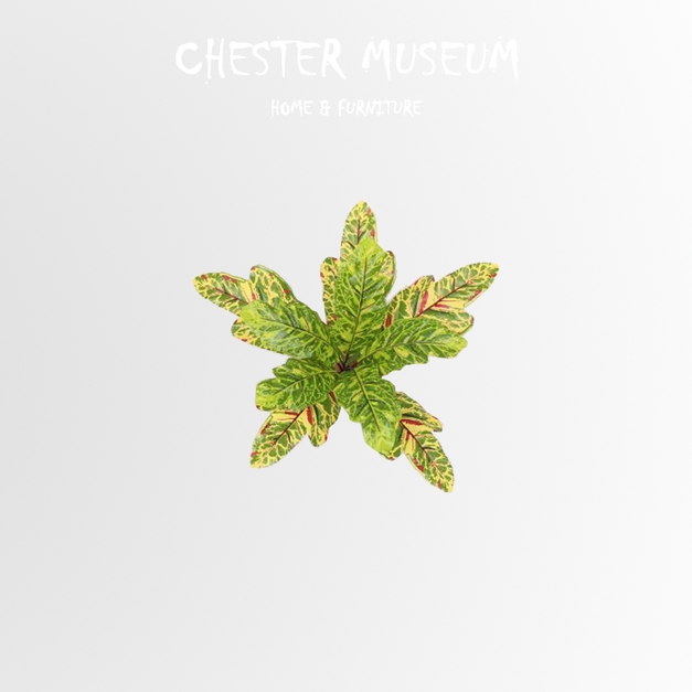 吉祥如意 NT205 +NT40