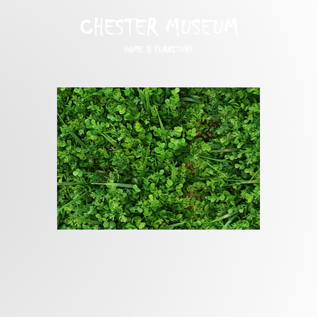 混合尤加利 NT390 +NT100