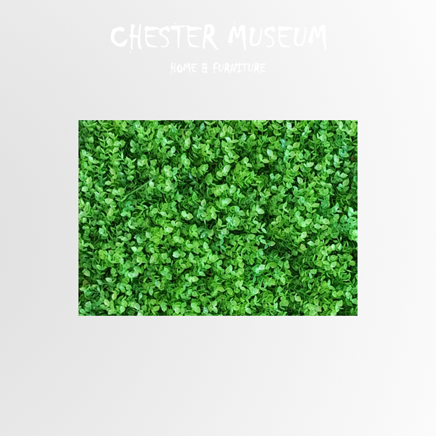 尤加利 NT340 +NT50