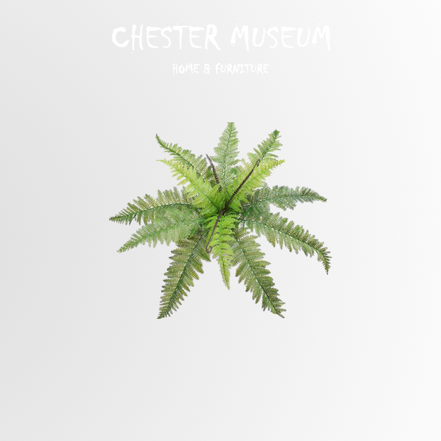 手感大蕨草 NT350 +NT185