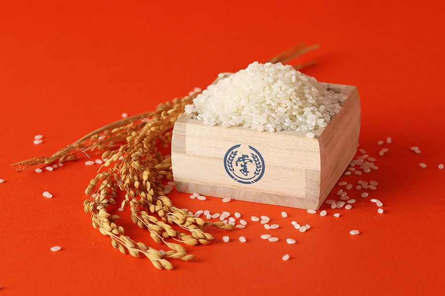 吃白米飯對人體的健康很重要：重拾古人食粥的養生智慧｜掌生穀粒